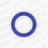 SEAL RING