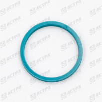 DUALSEAL-RING