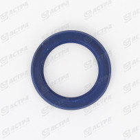 SEAL RING