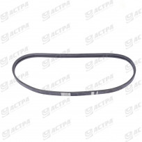 POWER BAND BELT ALPHABELTS