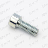 Болт M10x25 DIN912 8.8 233966.1