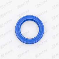 LIP SEAL