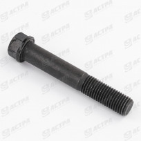 Болт (без упаковки) DANA M16x98 2 10.9