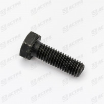 Bolt M8x25