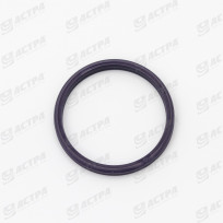 SEAL RING