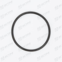 SEAL RING