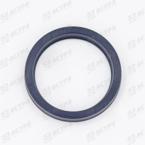 LIP SEAL