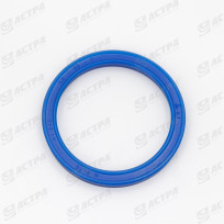 LIP SEAL