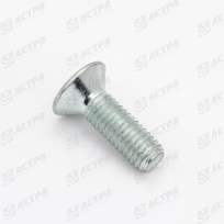 Screw