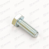 Screw SKS 10 x 30 DIN 933 8.8 gv.